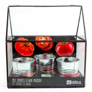 Kit de cultivo invernadero cristal tomates bio con 3 macetas metal