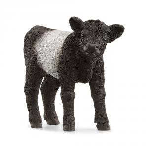 Ternero Galloway. Schleich