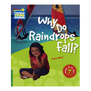 WHY DO RAINDROPS FALL?