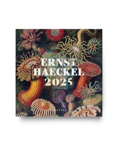 Ernst Haeckel 2025, Calendario de Pared