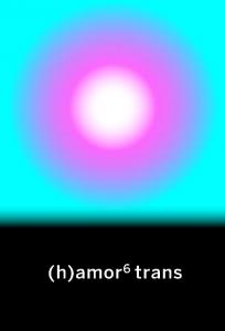 (h)amor 6 trans