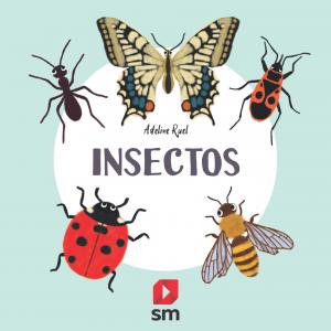 Insectos