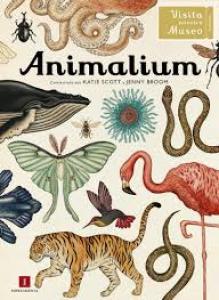 Animalium