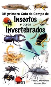 Mi primera guía de campo de campo de insectos y otros invertebrados.