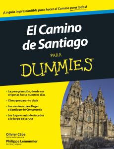 El camino de Santiago para Dummies