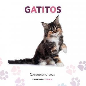 Calendario Gatitos 2025