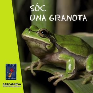 Sóc una granota