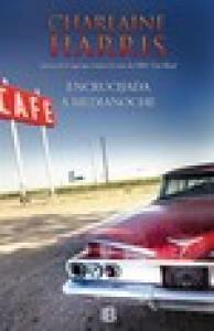 Encrucijada a medianoche (Midnight, Texas 1)