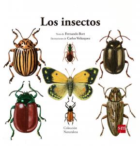 NAT.5 LOS INSECTOS