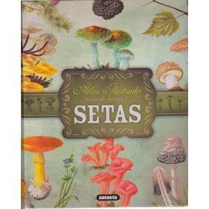 Setas