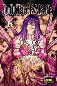 Jujutsu kaisen 6