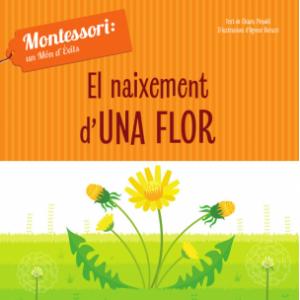 El naixement d una flor (VVKids).