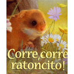 ¡Corre corre ratoncito!