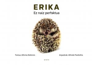 Erika, ez naiz perfektua