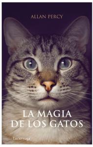 La magia de los gatos