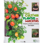 CÓMO CULTIVAR PLANTAS EN MACETAS