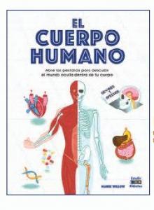 EL CUERPO HUMANO