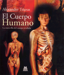 EL CUERPO HUMANO