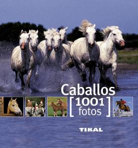 Caballos