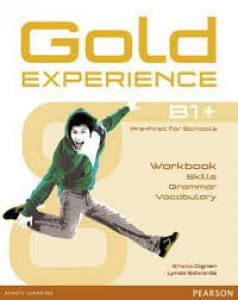 GOLD EXPERIENCE B1PluS LANGUAGE AND SKILLS WORKBOOK·Gold Experience