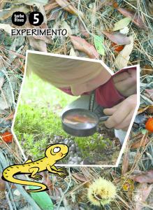 Libro Experimento 5 años. Torbellinos·Infantil.3er Curso·Torbellinos