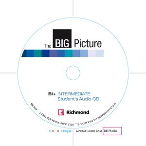 BIG PICTURE 3 WORKBOOK INTERMEDIATE [B1PluS]