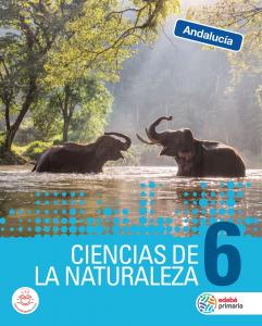 CIENCIAS DE LA NATURALEZA 6