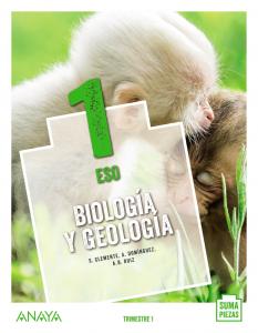 Biología y Geología 1.·E.S.O..1er Curso·Suma Piezas